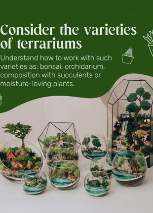 terrarium workshop learn types of terrariums bonsai succulent orchidarium moss compositions