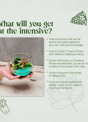 terrarium masterclass benefits learn to make trees ponds waterfalls and glowing effects