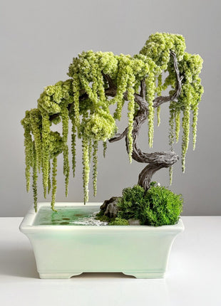 Preserved willow bonsai with sculpted trunk, stabilized moss and decorative ceramic base with pond effect