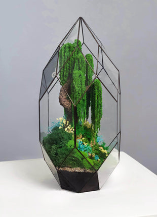 Terrarium Mystery of the Fairy Willow with preserved moss and cottage - MagicGardens