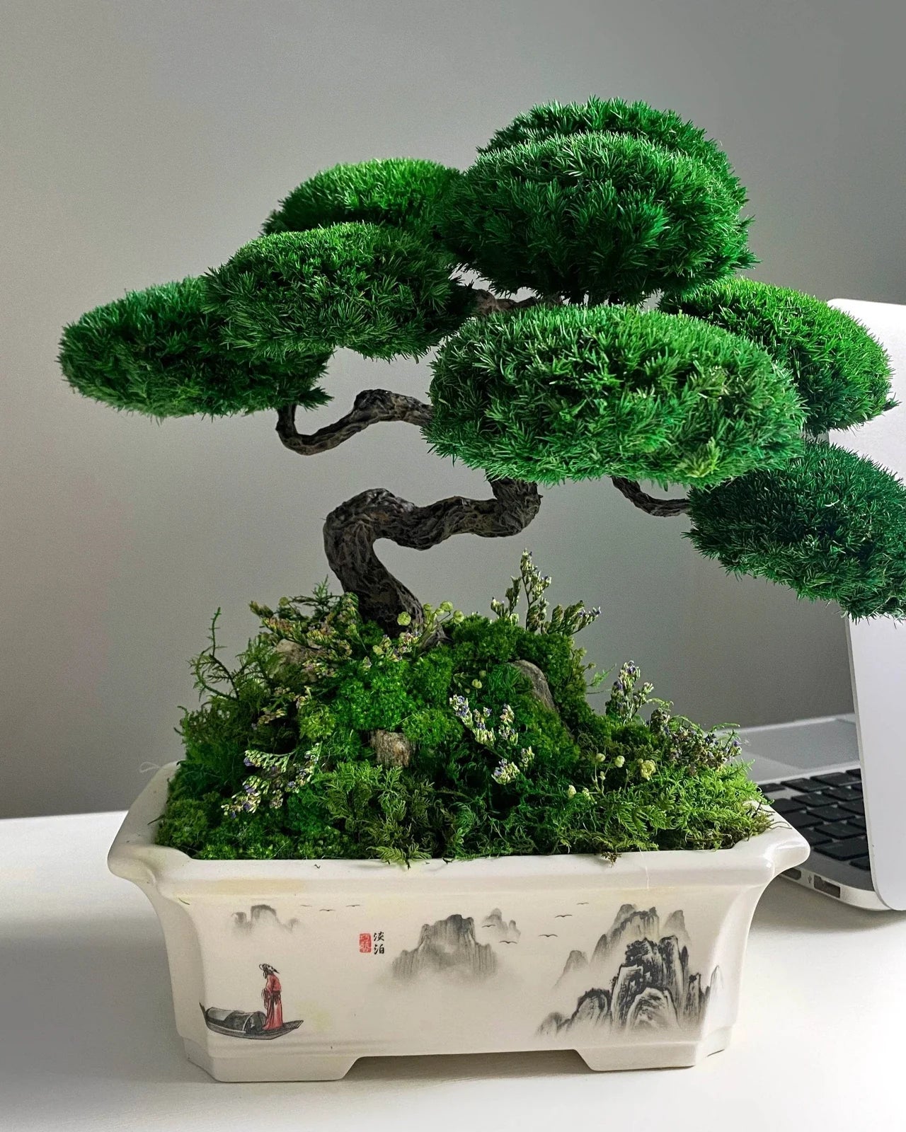 Bonsai