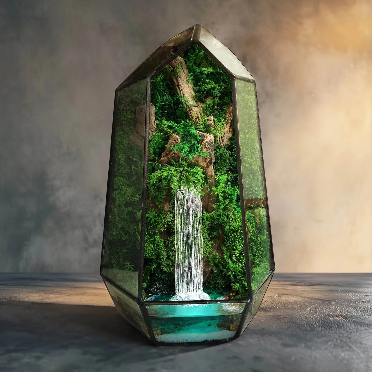 Terrariums